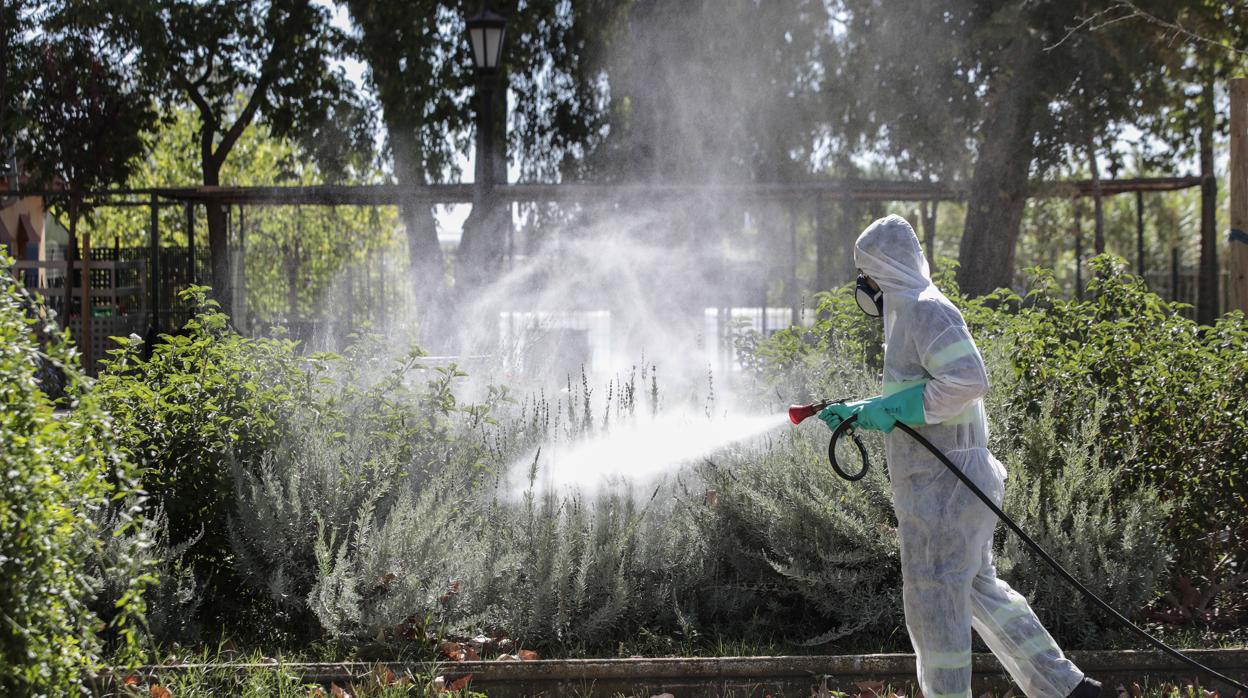 Fumigación de una zona verde en Coria del Río