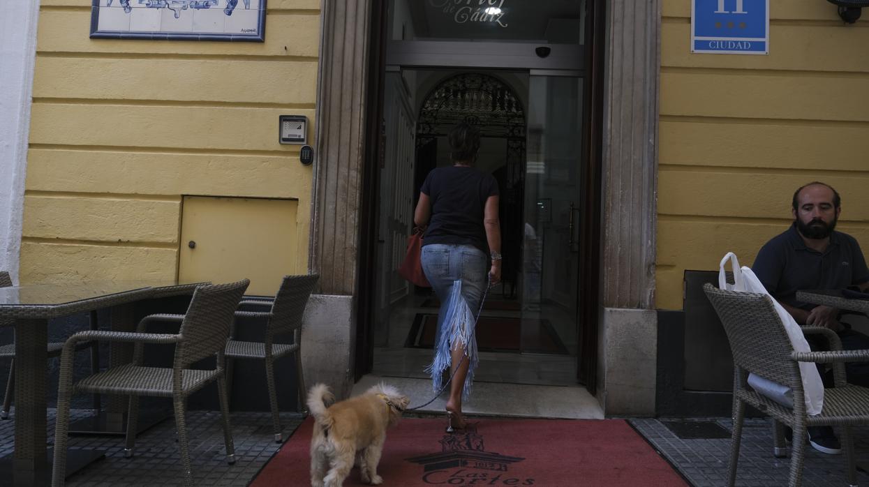 Qué hacer con tu mascota en la provincia de Cádiz