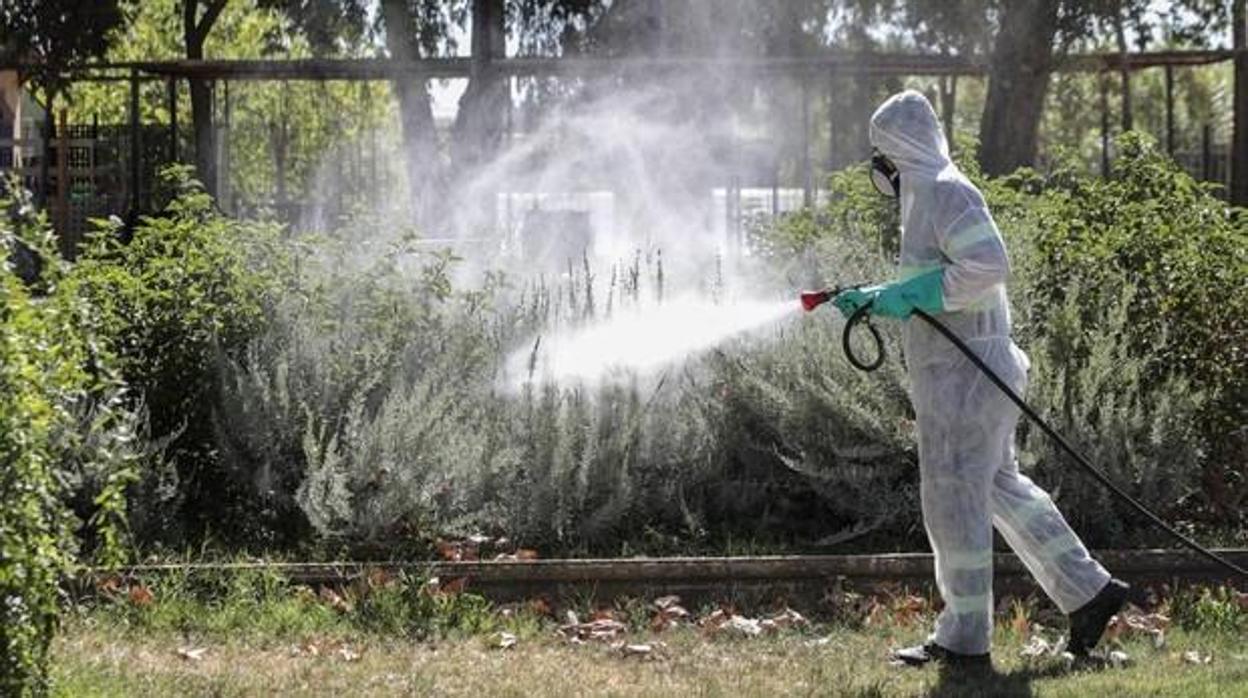 Un operario realiza tareas de fumigación en una zona verde