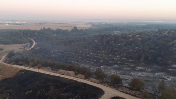 Incendio forestal Benacazón: el Infoca da por controlado el incendio del Corredor Verde del Guadimar