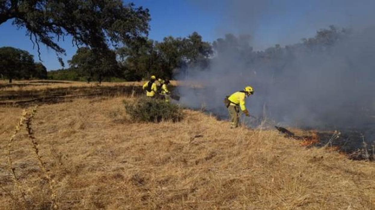 Miembros del Infoca trabajan en la extinción del incendio de Guillena del pasado sábado