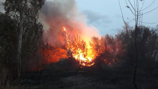 Declarado un incendio en paraje de localidad sevillana de Sanlúcar la Mayor