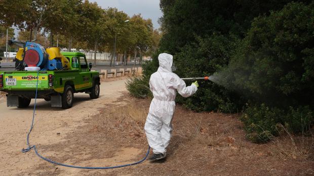 Tercer fallecido en la provincia por el virus del Nilo