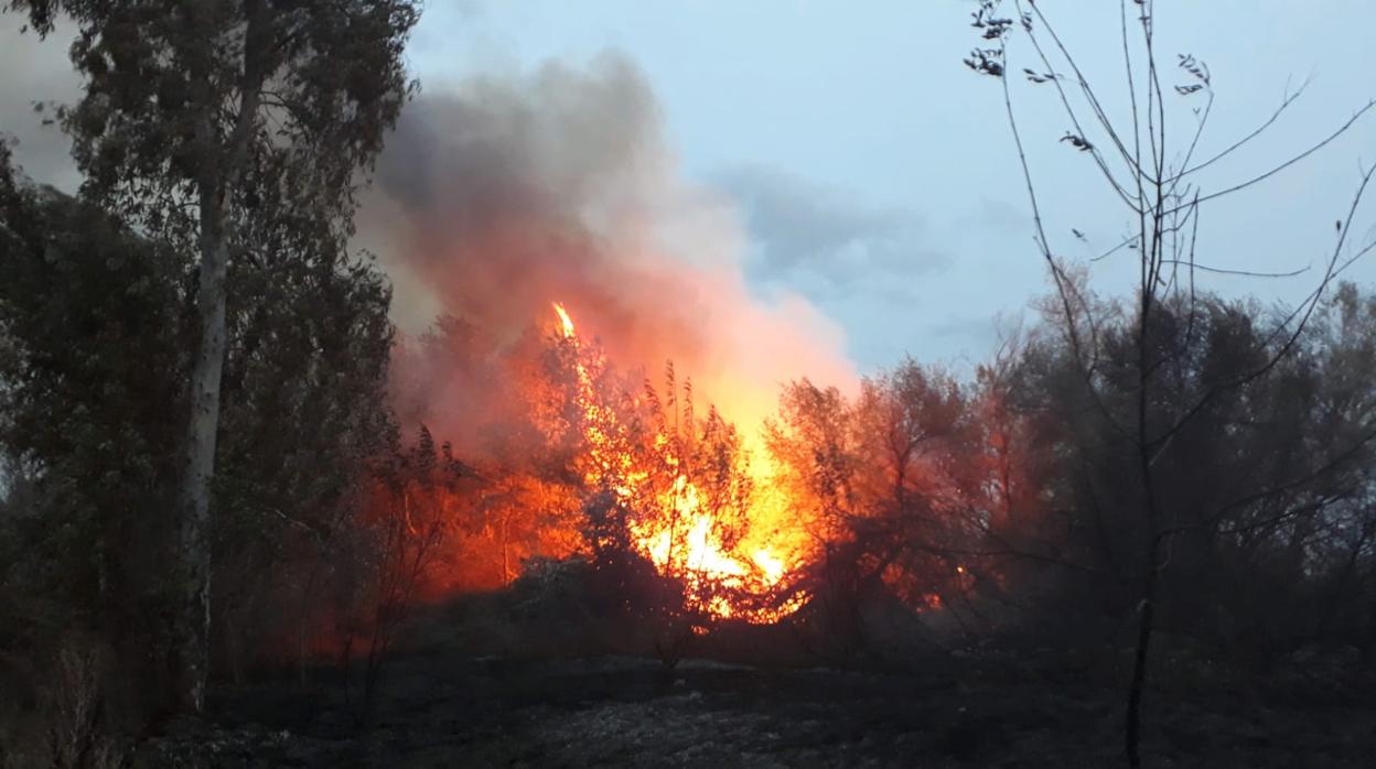 Controlado el incendio en un paraje de la localidad sevillana de Sanlúcar la Mayor