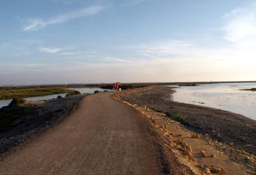 El Carrascón comunicará San Fernando y Chiclana por el Caño de Sancti Petri