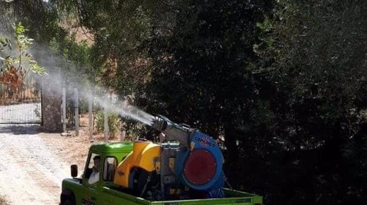 El alcalde de Vejer ordena una nueva fumigación