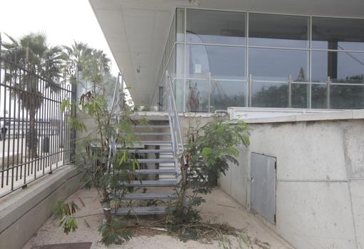 Los accesos a la piscina están llenos de plantas sin podar.