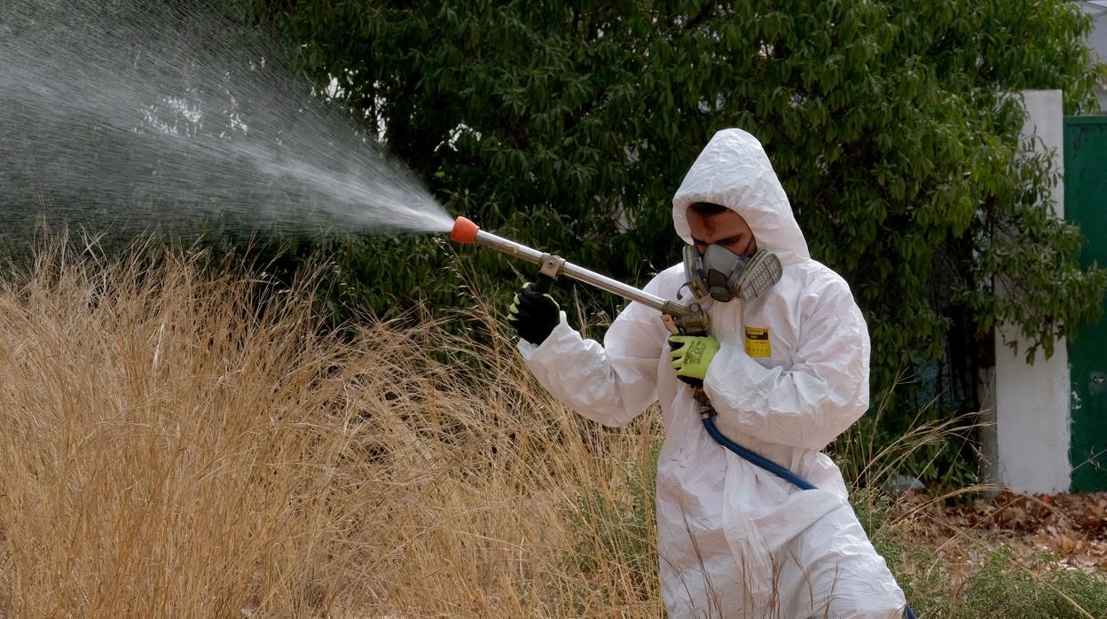 Los operarios fumigan en Puerto Real para luchar contra los mosquitos que contagian el virus del Nilo.