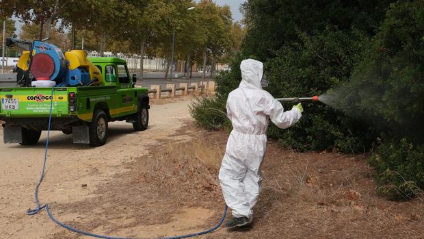 La Junta actuará en seis municipios de la provincia de Cádiz contra el virus del Nilo