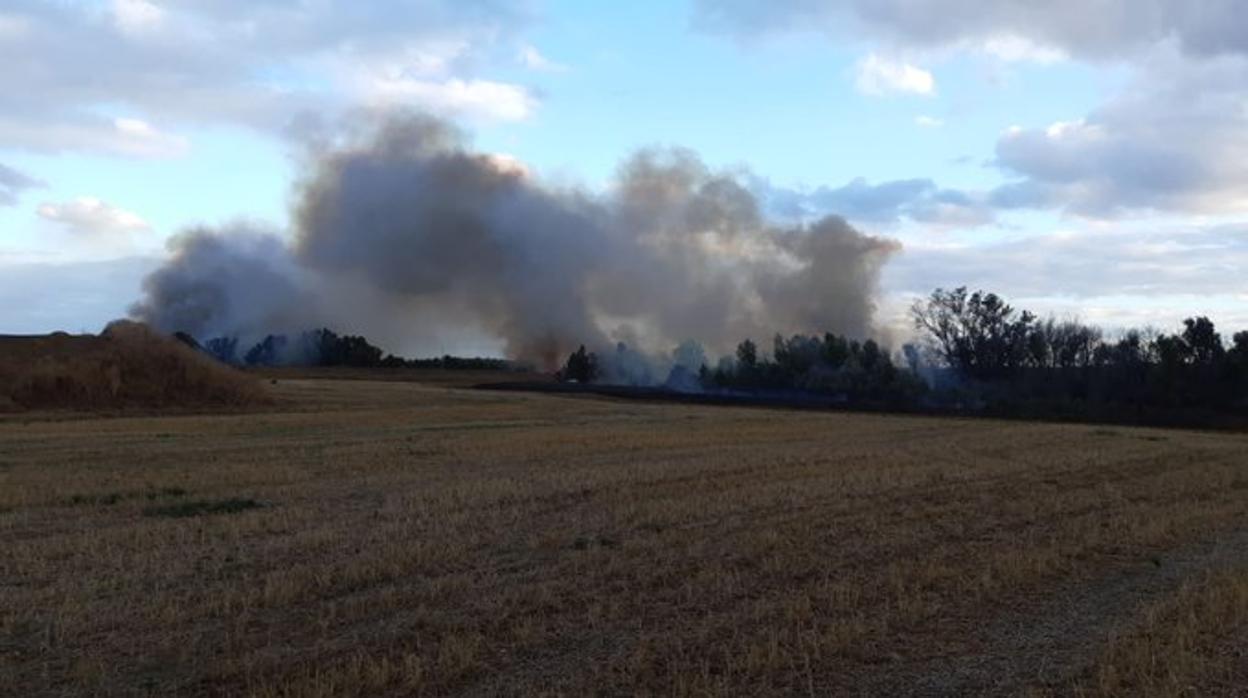 Imagen del incendio de este viernes en Sanlúcar la Mayor