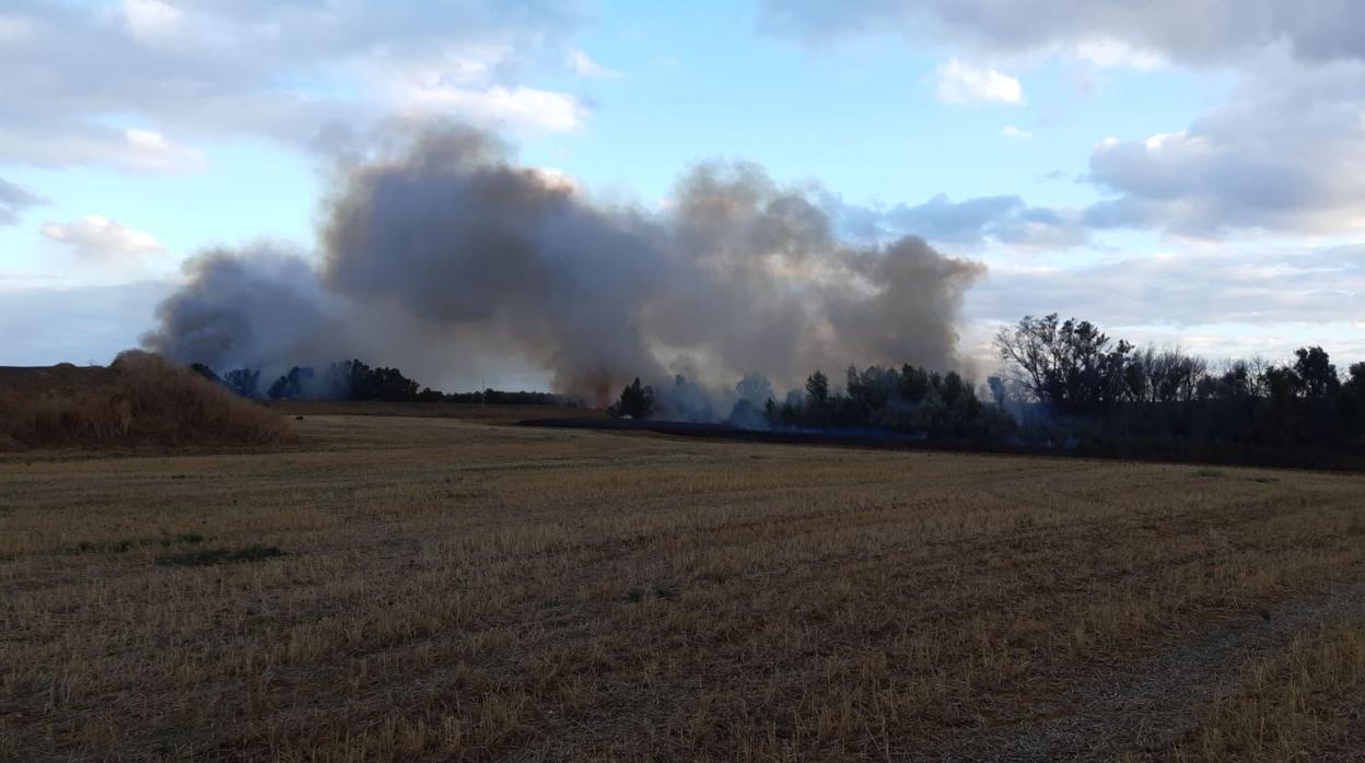 Incendio en Sanlúcar la Mayor