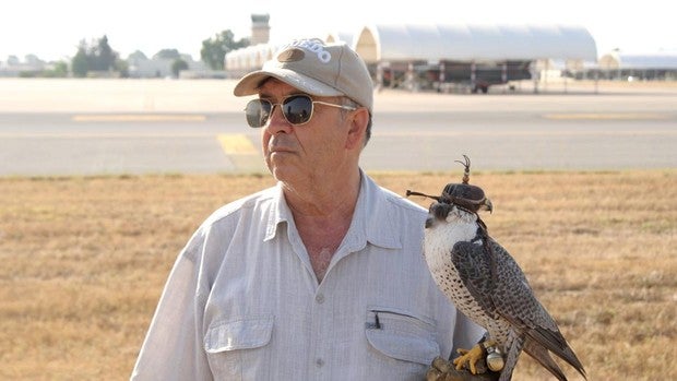 Rafael García, el último halconero de Félix Rodríguez de la Fuente y vigía casi 50 años del cielo de Morón