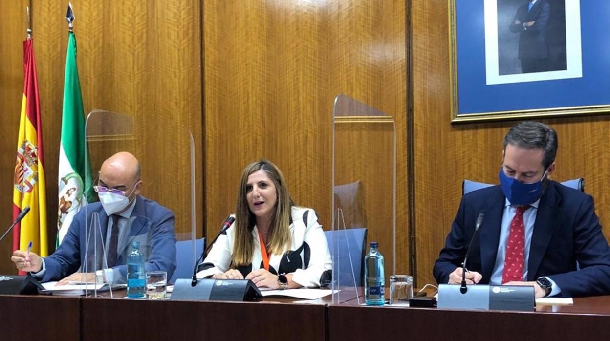 Irene García en el Parlamento andaluz.