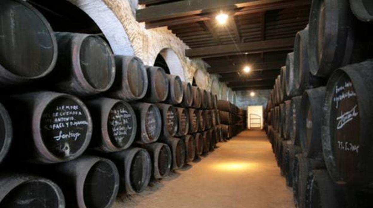 Cádiz lidera la representación de bodegas andaluzas