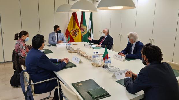 Los graduados sociales analizan con la Junta de Andalucía el estado de los trámites de la Ciudad de la Justicia de Cádiz