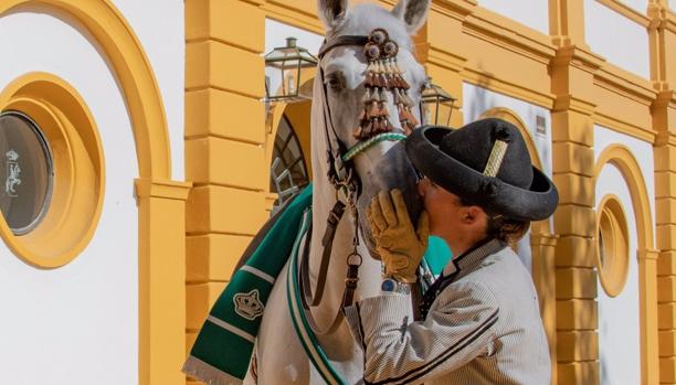 La Real Escuela Andaluza del Arte Ecuestre, galardonada en los Premios AFA 2020