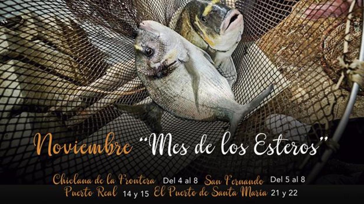 Chiclana abre el ‘Mes de los esteros’ con un tradicional despesque en Manguita