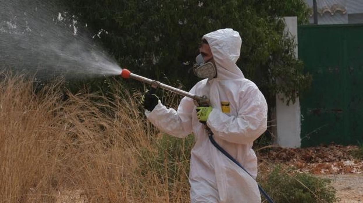 Fumigación contra el mosquito del virus del Nilo en Puerto Real.