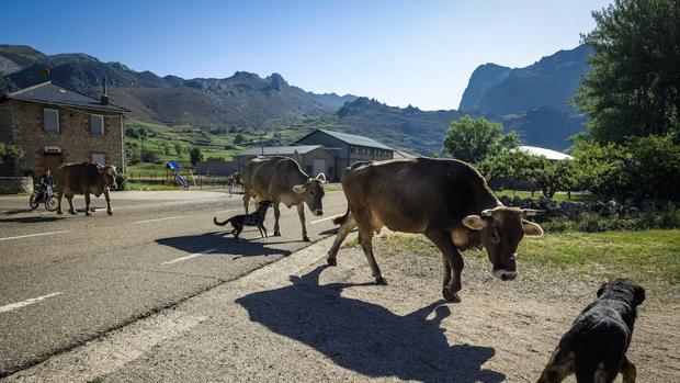 El PSOE acusa a la Junta de "favoritismo" al dar a Vejer 48.000 de los 100.000 euros para vías pecuarias