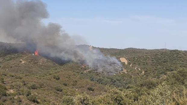 La provincia de Sevilla no ha registrado ningún incendio forestal de nivel 1 este verano