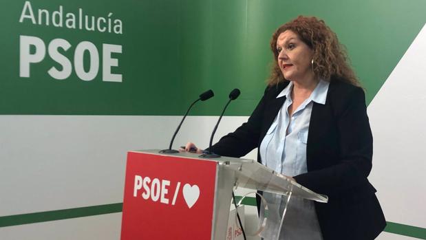 PSOE llevará al Parlamento la situación de los profesores del IES Las Salinas de San Fernando