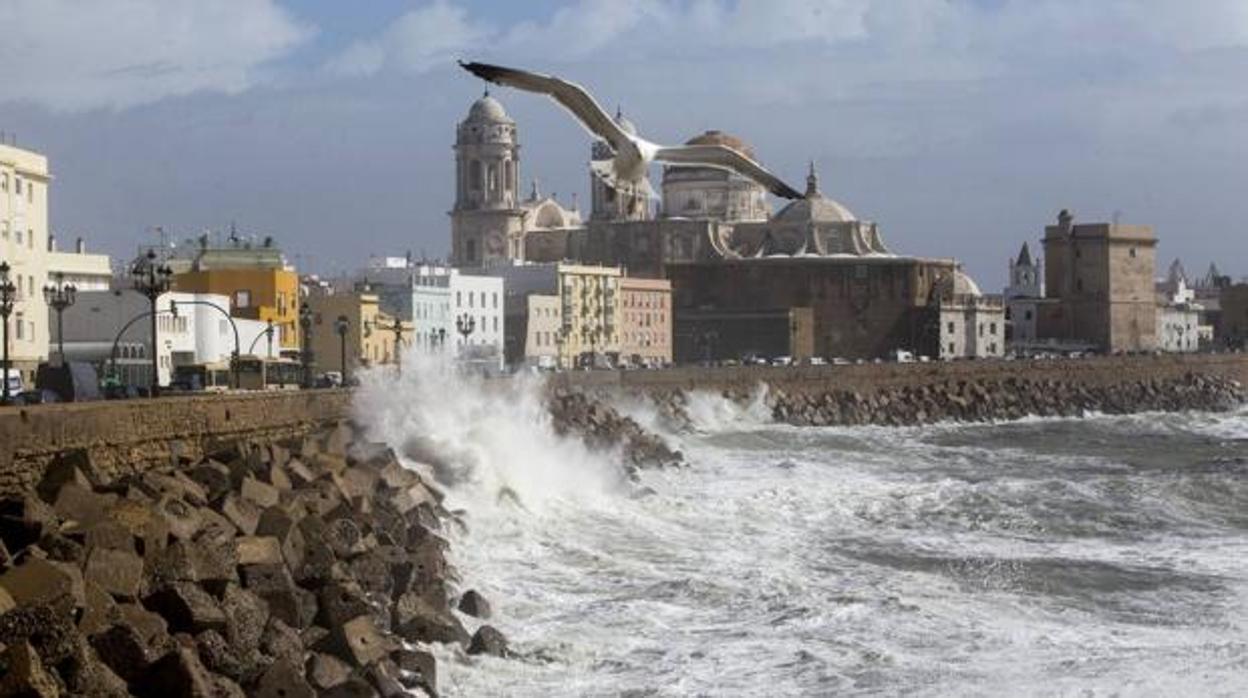 El tiempo en Cádiz: Jornada marcada por el viento, el fuerte oleaje y la niebla