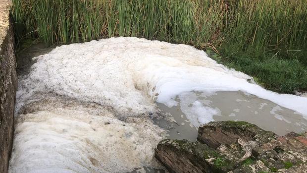 Alertan de un nuevo vertido contaminante al río Guadaira cerca del Molino de la Aceña