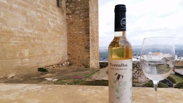 El vino Terralba Ecológico de Cooperativa Albarizas de Trebujena, ganador de Ecoracimo 2020