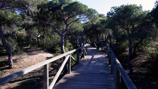 Una de las pasarelas de Rota.