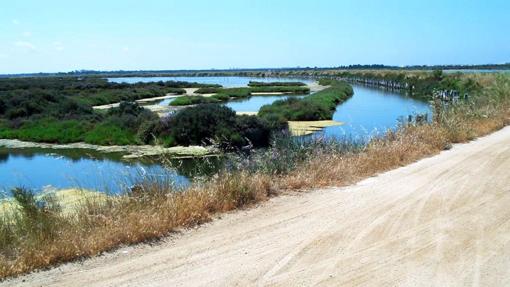 Imagen del sendero de Puerto Real.