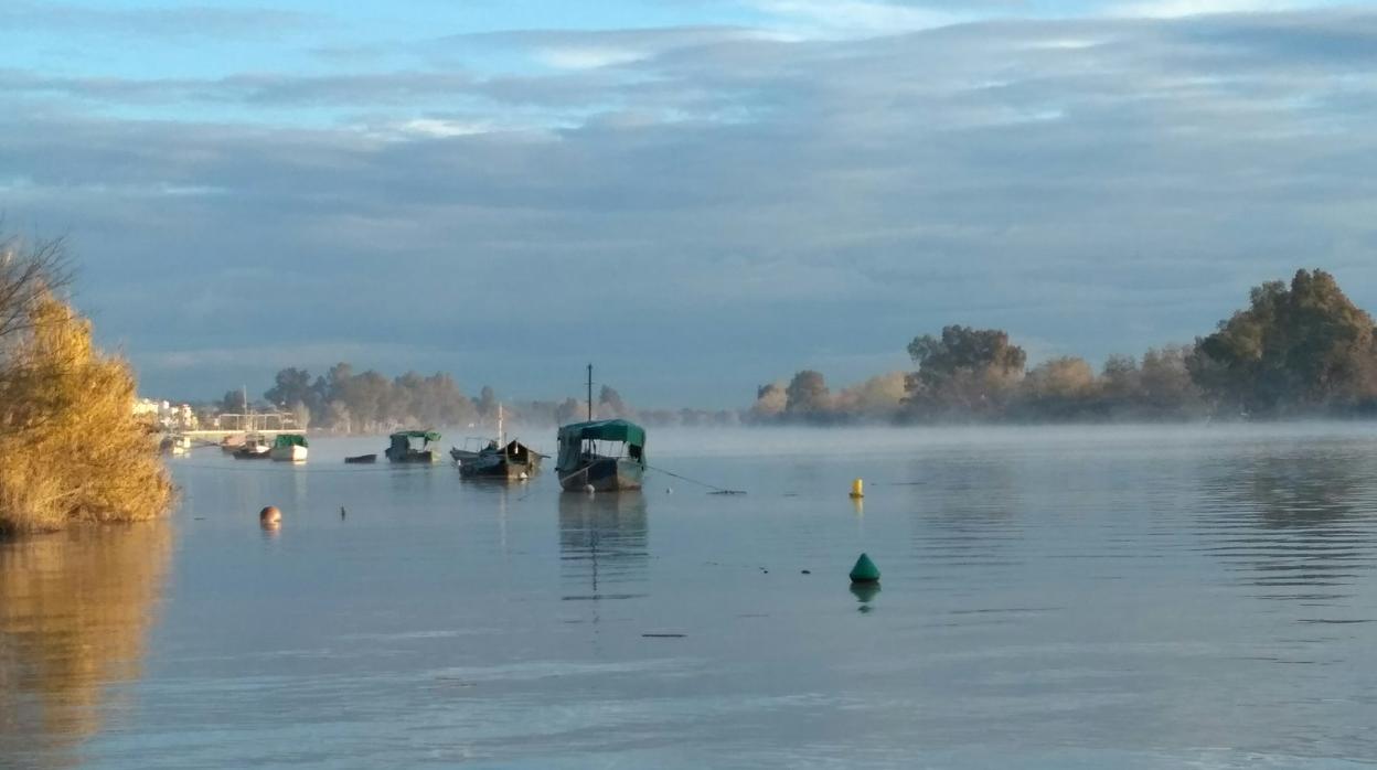 Diferentes tipos de barcos en el río Guadalquivir a la altura de Coria de Río