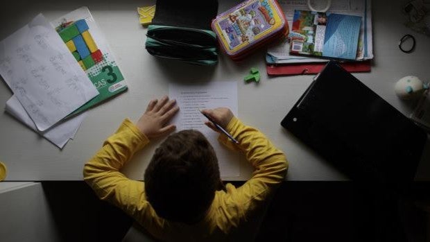 Educación implanta un programa para la prevención del acoso escolar y el ciberacoso