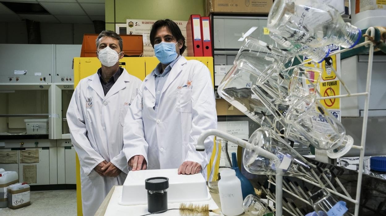 José Lucas Pérez-Llorens y Fernando G. Brun, investigadores de la Universidad de Cádiz