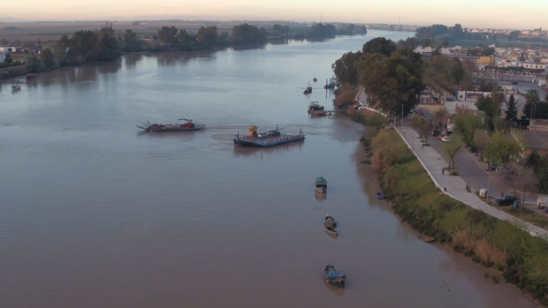 Coria del Río aprueba por unanimidad impulsar un plan municipal contra el cambio climático