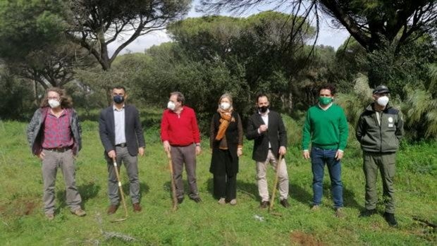 Plantación de árboles autóctonos de Cádiz para conmemorar el 28-F