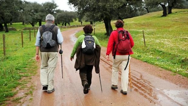 La Junta de Andalucía invierte casi 8 millones de euros para 30 caminos rurales de 21 municipios de Sevilla