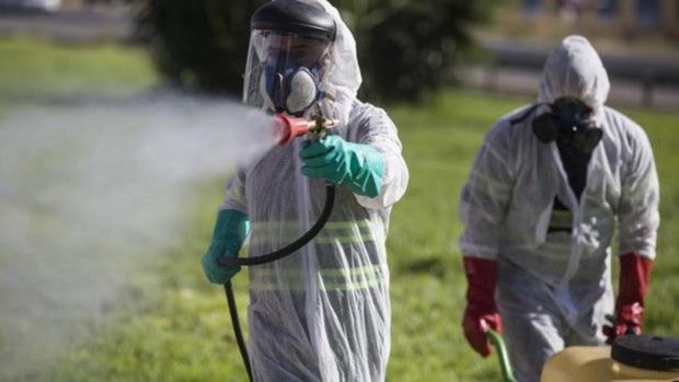 Lo que hay que hacer si se quiere pasar un verano con menos mosquitos en Sevilla