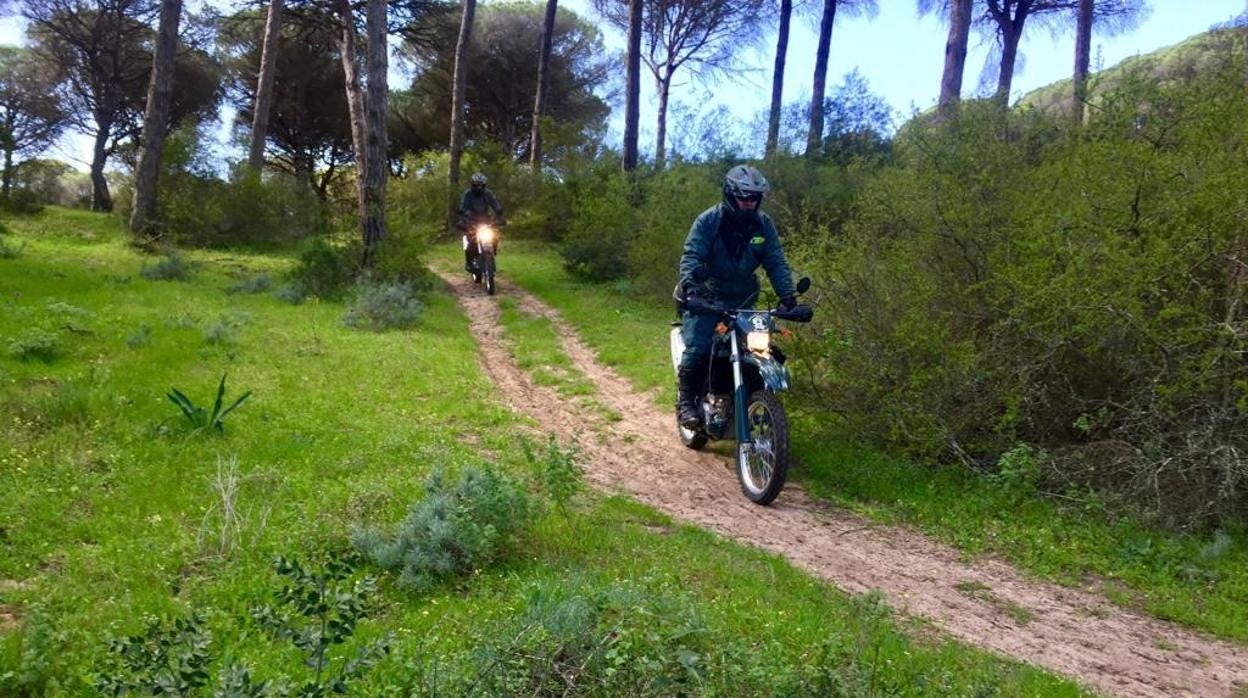 La Guardia Civil pone nueve denuncias en una mañana por circular por el Parque Natural de la Breña