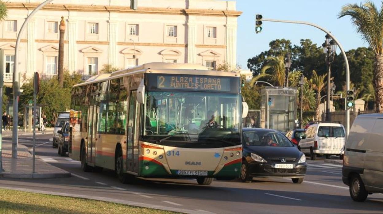 Ciudadanos pide que se licite el pliego de transporte urbano y reclama un servicio «eficiente y sostenible»