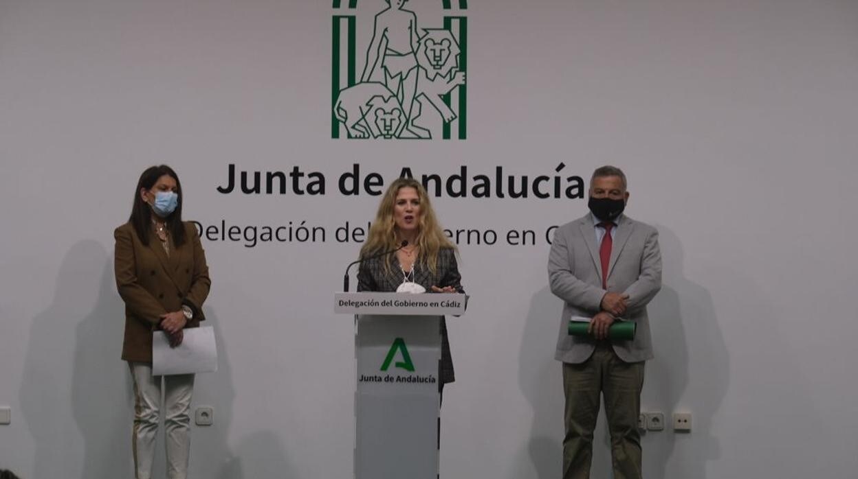 Momento de la presentación en la sede de la Junta de Cádiz el nuevo plan económico