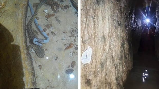 Hallan especies animales desconocidas y microplásticos en las minas de agua del subsuelo de Carmona