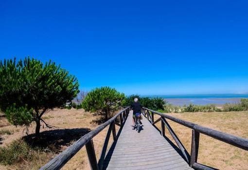The best beaches in Cádiz for this summer 2022