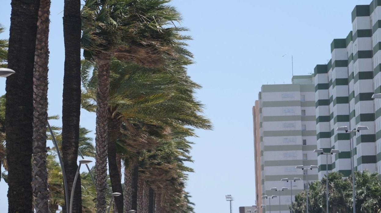 Aviso por viento y fenómenos costeros en la provincia