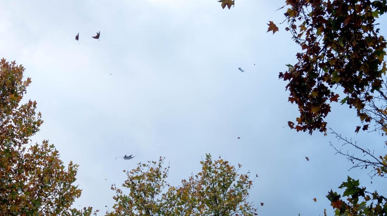 Cielos cubiertos con lluvias generalizadas en la provincia este 15 de abril de 2021