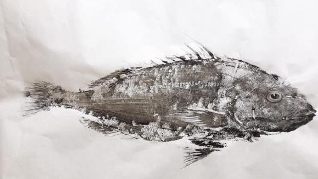 En busca de los gyotakus perdidos