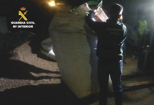 Desarticulada una organización que enviaba marihuana a gran escala desde Cádiz a Europa