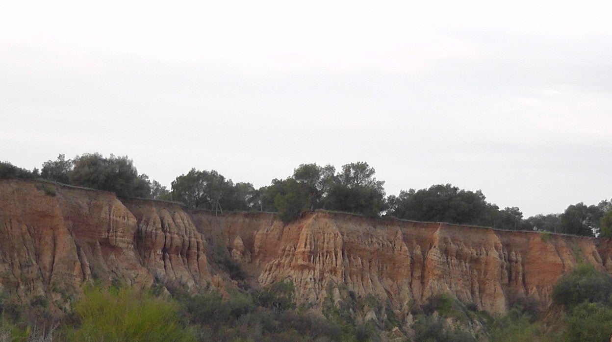 Zonas de Los Pinares de la Puebla del Río