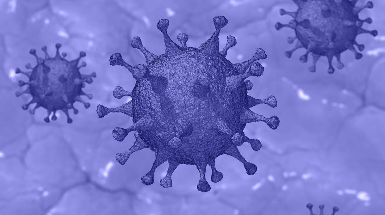 La melatonina contra el coronavirus: investigadores de EEUU confirman el hallazgo granadino