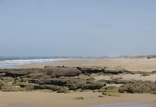 Playa de Valdevaqueros, en Tarifa.