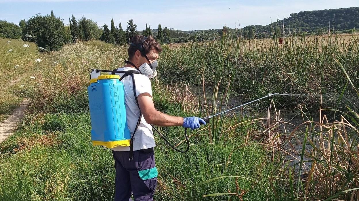 Diputación inicia los tratamientos frente a larvas de mosquitos en La Janda